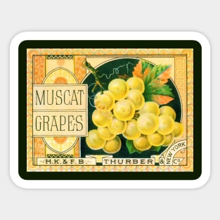 Vintage Muscat Grapes Thurber Fruit Crate Label Sticker